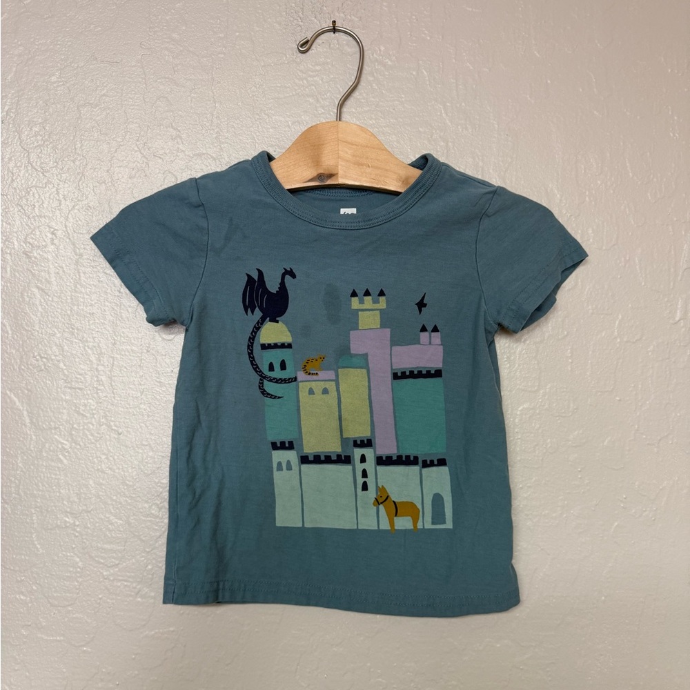 $14 ADD ON tea collection graphic tee 2T Zara Hanna Andersson Janie and Jack